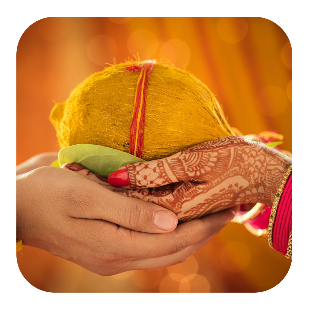 Wedding and Reception